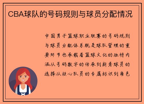 CBA球队的号码规则与球员分配情况