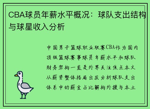 CBA球员年薪水平概况：球队支出结构与球星收入分析