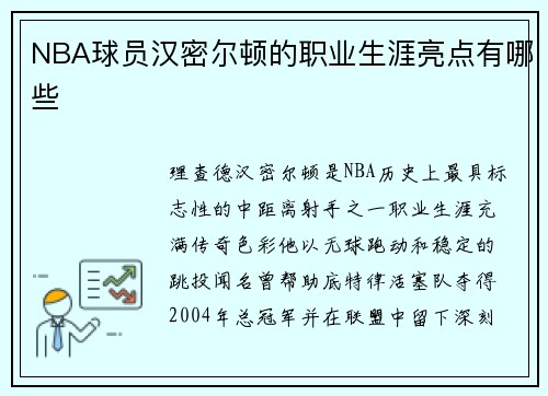 NBA球员汉密尔顿的职业生涯亮点有哪些